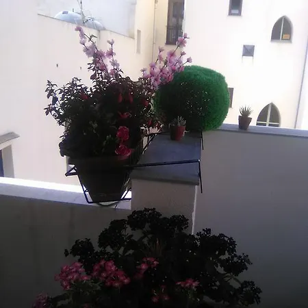 Verde Mare * Trapani